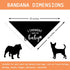 2 Packs Our Humans are Getting us a Baby Dog Bandana Pregnancy Announcement Dog Scarf Accessories Gender Reveal Baby