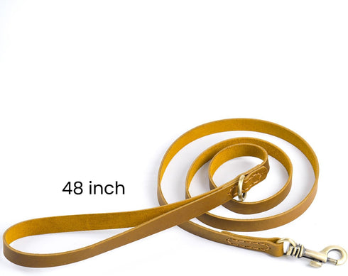 Genuine Leather Dog Leash - Soft Touch Rustic Leather, Vintage Style, Secure Grip for Small Dogs, Training