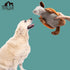 Hollypet Fluffy Squeaky Dog Toys for All Breeds, Stuffed Toys for Small, Medium & Large Dogs, Orange Large