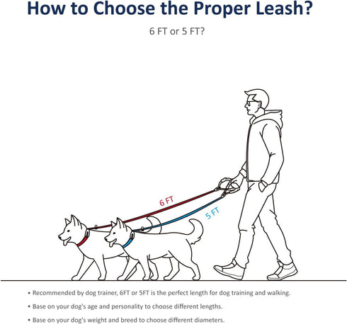 WePet Dog Training Slip Leash, 6 ft, 1/2 inch, Fuchsia/Green, Durable Reflective Lead, Comfortable Handle, Heavy Duty