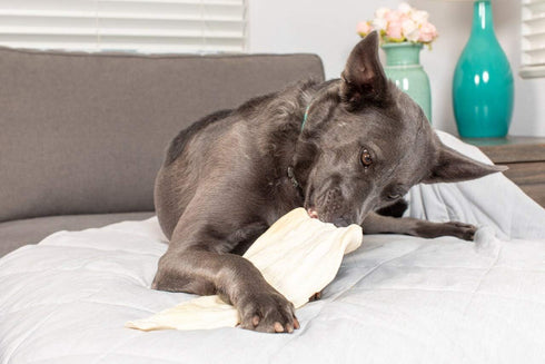 Original Large Cow Ears for Dogs - All Natural Premium Grade Rawhide Alternative Chews, 20 Pack