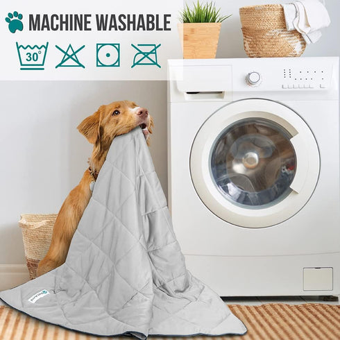 PetAmi Premium Cooling Dog Blanket, Lightweight Fluffy Pet Throw Blanket, Reversible Cozy, 29x40, Light Grey
