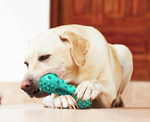 Carllg Puppy Teething Chew Toys - Indestructible Tough Dog Toothbrush Toys for All Breeds
