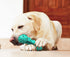 Carllg Puppy Teething Chew Toys - Indestructible Tough Dog Toothbrush Toys for All Breeds