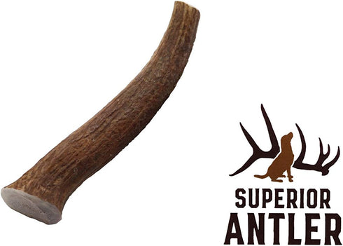 Large Antler Chew, Whole, Single Pack, All Natural Premium Grade A, L=6-10”, Made in The USA