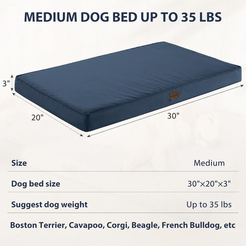 BFPETHOME Outdoor Dog Bed for Large Dogs, Orthopedic Bed with Removable Washable Cover, Navy, 30x20in