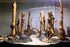 Reptile Décor Natural Forest Branch Terrarium Wood Aquarium Ornament, 4 Pack