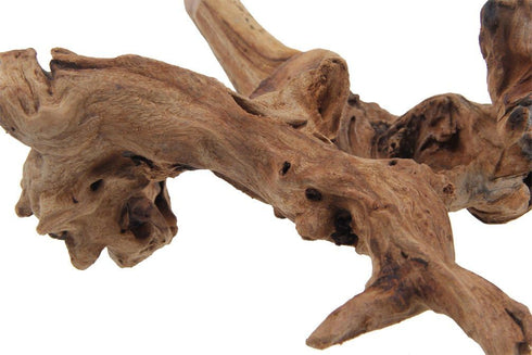 Aquarium Decor Wood, Fish Tank Decoration Driftwood, Size and Shape Varies, Large (9-12 inch length)