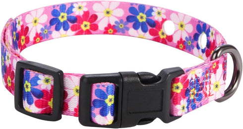 Rhea Rose 3/4 Inch Pink Daisy Replacement Collar Strap - Shock Collar with 2 Holes, Compatible with Most Brands