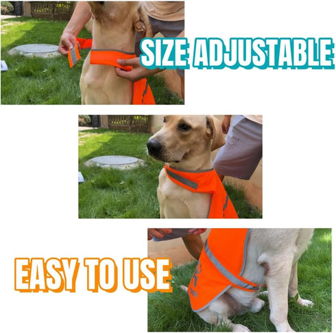 High Visibility Reflective Dog Vest, Safety Vest for Walking, Jogging, or Training, Size L