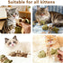 Eralivmart 3PCS Cat Dental Toys Health Chew Creative Fishbone Shape Teething with Catnip Fix Your Cats Health Natural