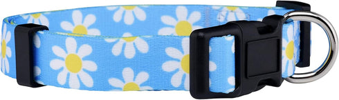 Native Pup Flower Dog Collar, Adjustable Small Medium Large, Cute Designer Puppy Accessories, Pink Floral Blue Daisy
