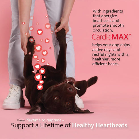 L-Carnitine,EPA,DHA,CoQ10-Aids Made-60 Heart Support Supplement for Dogs-Vet-Formulated, Antioxidant-Rich-L-Taurine