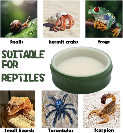 DQITJ 2 Pcs Snail Water and Food Bowl Hermit Crab Feeding Dish for Snail Crab Millipede Frog Tarantula Small Reptile