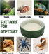 DQITJ 2 Pcs Snail Water and Food Bowl Hermit Crab Feeding Dish for Snail Crab Millipede Frog Tarantula Small Reptile