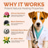 Vet-Recommended (2oz) Hot Spot & Itch Relief Skin Cream for Dogs & Cats | Fast & Lasting Relief | Treats the Source |