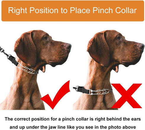 CBBPET Adjustable Dog Prong Collar with Quick Release Buckle for Small Medium Large Dogs