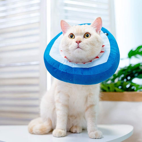 EXPAWLORER Cat Cone Collar Soft, Adjustable Cute Cat Recovery Collars After Surgery, Comfortable Neck Elizabethan Pet