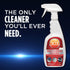 303 Recommended 32 oz. (30207) Products Multi-Surface Cleaner - Safely Cleans All Water Safe Surfaces - Ultimate