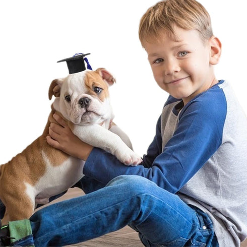 BESTOYARD 2Pcs Set Elastic Doctorial Hat Graduation Cap for Dogs and Cats, Mini Bachelor Hats for Pets
