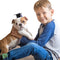 BESTOYARD 2Pcs Set Elastic Doctorial Hat Graduation Cap for Dogs and Cats, Mini Bachelor Hats for Pets