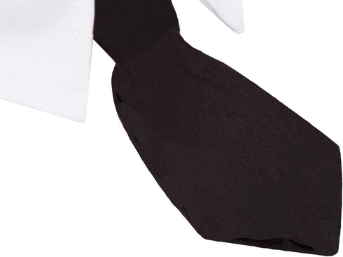 Bowtie for Little Puppy, Adjustable Handcrafted Formal Collar Neck Tie for Dogs & Cats (L, Black)