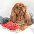 Durable Rubber Slipper Dog Chew Toy for Puppy, Interactive Tough Toys for Pet Training and Cleaning Teeth, Aggressive