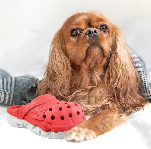 Dog Chew Toy, Durable Rubber Slipper Toy for Puppy, Tough Toys for Pet Training and Teeth Cleaning