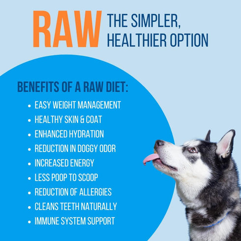 Freeze Dried Raw Beef Patties for Dogs, Quality Dehydrated 100% Raw Meat, No Fillers, Made in USA