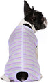 Puppy Striped Recovery Suit for Dogs and Cats - Zip Up Onesie for Abdominal Wounds, Professional Spay Neuter Bodysuit