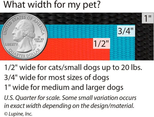 Lupine Training Tab 1" Wide, Black, for Medium and Larger Dogs