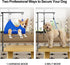 ALLPETS&CO 27"-40" Hammock, 4pc Set Portable Foldable Dog Grooming Arm Kit: Adjustable with Heavy Duty Clamp & Grooming