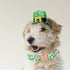 Elegant little tail Green Clover Dog Collar, St Patrick's Day Holiday Pet Collar, Adjustable Cute Puppy Collar for