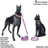 Pet Moons Stars Suns Dog Collar Cat Collar, Multiple Designs Crescent Celestial Leash Harness