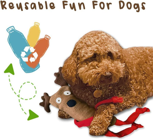 Cate & Levi Dog Toy Water Bottle Cruncher, No Squeaker Quiet, Durable Bottle Cover Dog Toy
