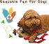 Cate & Levi Dog Toy Water Bottle Cruncher, No Squeaker Quiet, Durable Bottle Cover Dog Toy