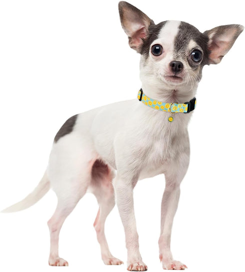 Cute Cotton Dog Collar, Summer Lemon Pattern Adjustable Soft Collar for Small Medium Large Dogs, for Boys and Girls