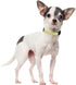 Cute Cotton Dog Collar, Summer Lemon Pattern Adjustable Soft Collar for Small Medium Large Dogs, for Boys and Girls