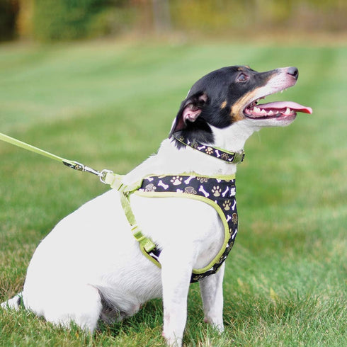 Ribbon Designer Wrap Adjustable Dog Harness, Large & Small, Brown Paws & Bones, 5/8" x 16-19"