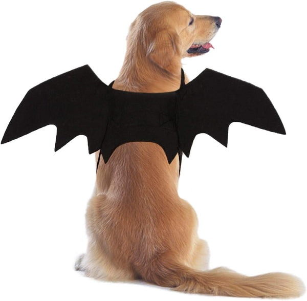 Rypet Dog Bat Costume - Halloween Pet Costume with Bat Wings for Party, M