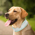 Bling Rhinestone Dog Collar, Soft Comfortable Adjustable Pet Collar with Bright Reflective Stripe for Small Medium
