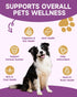 10 Immunity, Mushroom for Dogs & Cats - Turkey Tail for Dogs - Organic Mushroom Supplement with Turkey Tail, Reishi