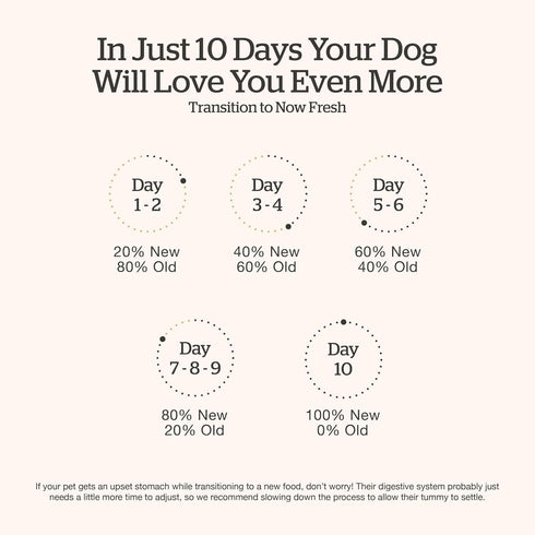 Now Fresh Dry Dog Food for Small Breed Seniors - Turkey, Salmon and Duck Recipe, 6 lbs, Grain Free