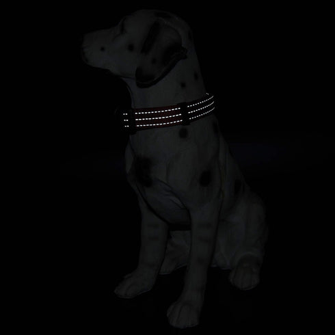 Mile High Life Dog Collar, Nylon Reflective Dog Collars, Light Weight Puppy Collars, Solid Red for Medium Dogs