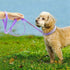 Cute Dazzling Sparkling Soft Suede Leather Bling Rhinestone Collar and Leash Combo Set for Medium Dogs