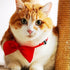 Orange Dog Bow Ties with Adjustable Collar, Solid Pet Neckties for Dogs and Cats, Grooming Bowtie Collars