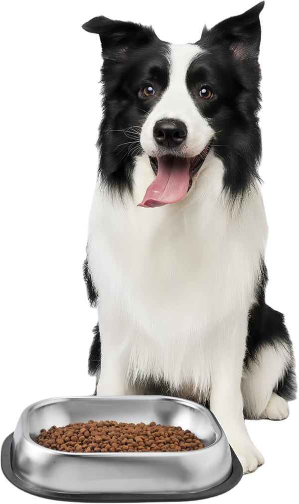 304 Stainless Steel Food Dishes with Cleaning Kit, Shallow Dog Bowls for Small/Medium Cats and Dogs