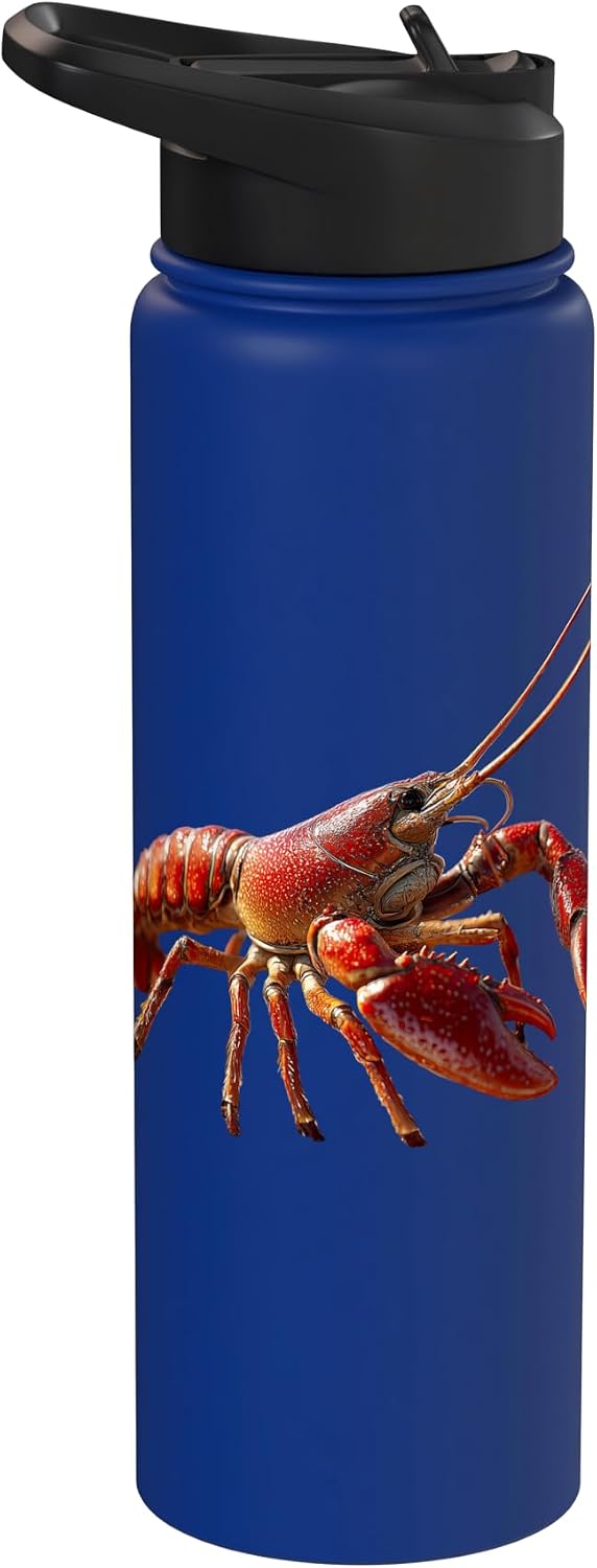 Funny Lobsters for Crab and Lobster Lover Lobster Crustaceans Large Crab Red Lobsters Cute Lobster Stainless Steel Insulated Water