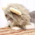 Halloween Cat Lion Mane Wig Costume - Adjustable Washable Funny Pet Puppy Dress Up Hat for Holiday Photo Shoots, Size L