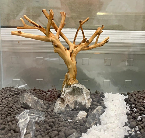 YZHZOM 2pcs Tree,4-6inch,Handmade Small Bonsai Aquarium Aquarium Bonsai Tree Aquarium Decor Tree